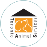 Animal Services Information: Mississauga and Etobicoke - Renforth  Veterinary Clinic